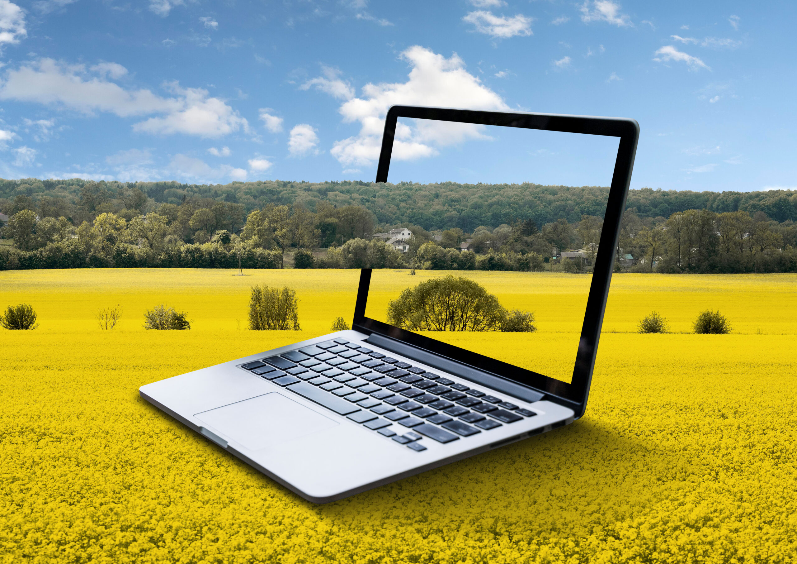 Importance of A Good Laptop In Todays Digital World